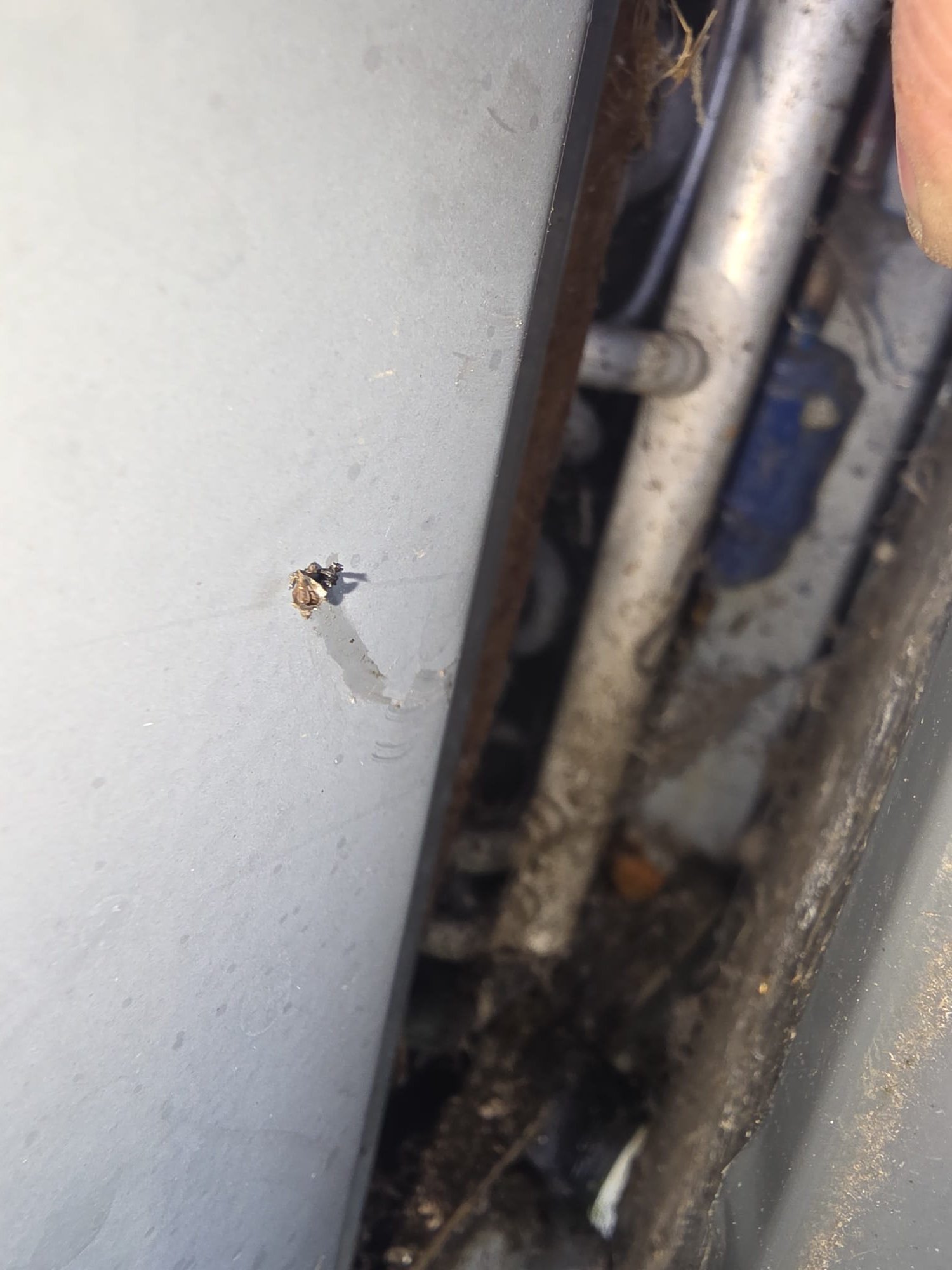 Dirty HVAC coil and refrigerant lines in need of cleaning